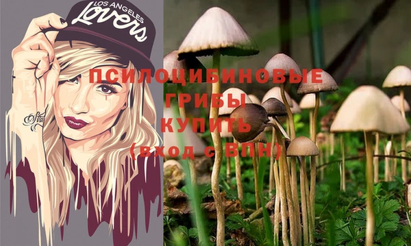 каннабис Белокуриха