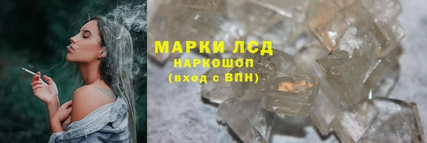 ГАЛЛЮЦИНОГЕННЫЕ ГРИБЫ Белоозёрский